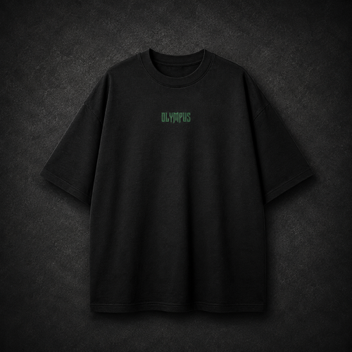 Black OLYMPUS Grizzly heavyweight graphic tee front design
