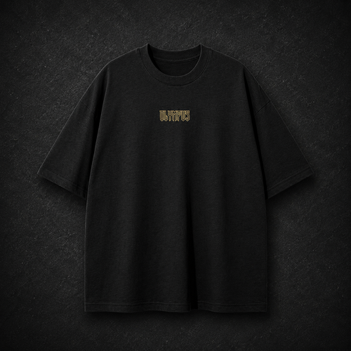 Black OLYMPUS Aetos Eagle Heavyweight Graphic Tee Front 